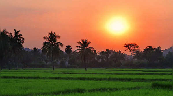 Nowgong, Madhya Pradesh – 46.6°C