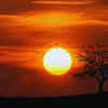 Wardha, Maharashtra – 47.1°C