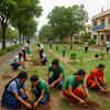 Article image for: Forest dept plans to plant 34,000 saplings in Mysuru city