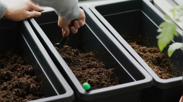Prepare the soil