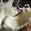 Coconut milk benefits
