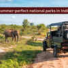 Article image for: 7 summer-perfect national parks in India promising an unforgettable escape; best time to visit and more