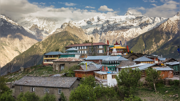 Kothi, Himachal Pradesh