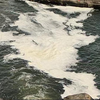 Article image for: Namakkal dyeing units turn sacred Cauvery into a ‘toxic drain’