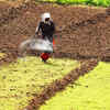 Article image for: Fertiliser prices soar ahead of Kharif, farmers fear another crushing season in AP