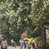Article image for: City feels May singe as heatwave rages on