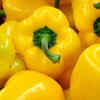 Yellow Bell Peppers
