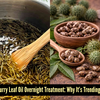 Article image for: Rosemary and curry leaf oil for hair: Benefits, how to use, and why it’s trending