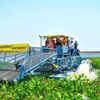 Article image for: Hi-Tech machines deployed to remove water hyacinth from Ambazari Lake