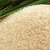 Joha Rice
