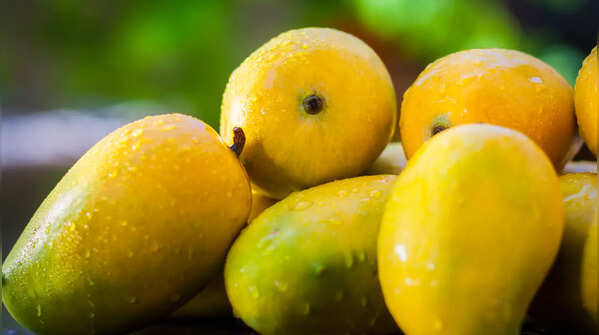 Kesar Mango