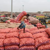 Article image for: In a 1st, jobs in informal sector hit 15cr mark: Centre