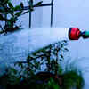 Article image for: Frequent watering of plants despite rainfall