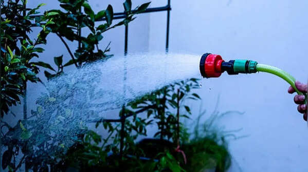 Frequent watering of plants despite rainfall