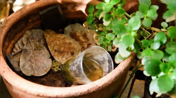 Accumulation of water under plant pots