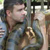Anacondas' muscles can be very powerful and dangerous