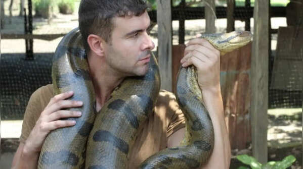 Anacondas' muscles can be very powerful and dangerous