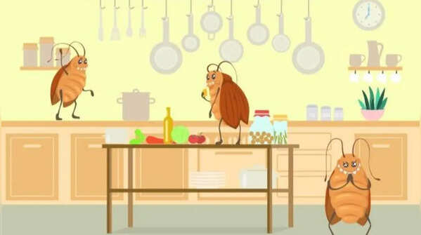 Keep kitchen corners behind appliances cleaned