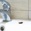 Article image for: Prevent water leaks and remove moisture
