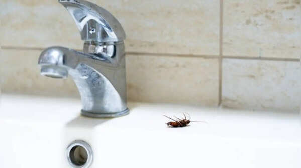 Prevent water leaks and remove moisture