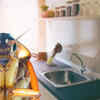 Article image for: 5 hacks to keep cockroach away from kitchen permanently