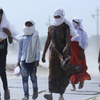 Article image for: <i class="tbold">heatwave</i>s are worsening