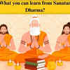 Article image for: What you can learn from Sanatan Dharma?