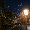 Article image for: How streetlights may be affecting birds, bats and insects at night in ways scientists did not expect