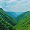 Khasi pine and cloud forests