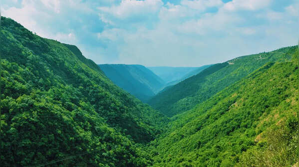 Khasi pine and cloud forests