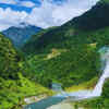 Dibang Valley forests