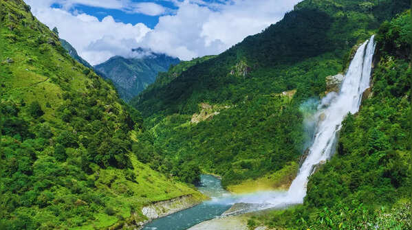 Dibang Valley forests