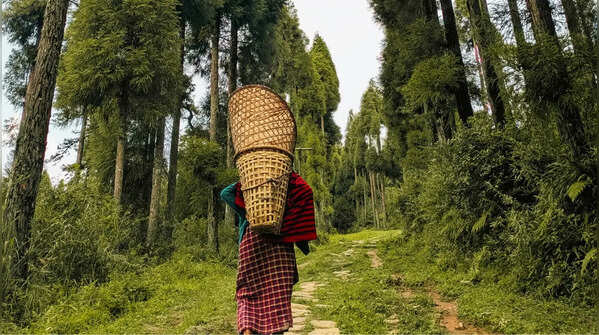 Sacred Groves of Meghalaya