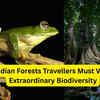 Beyond tiger reserves: 10 Indian forests travellers must visit for extraordinary <i class="tbold">biodiversity</i>