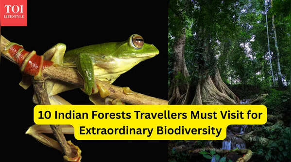 Beyond tiger reserves: 10 Indian forests travellers must visit for extraordinary biodiversity