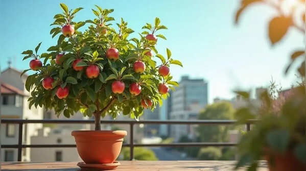 How to grow apple plant in a pot (Simple step-by-step guide for beginners)
