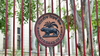 Article image for: RBI announces record Rs 2.87 lakh crore dividend payout to Centre, surplus transfer rises again