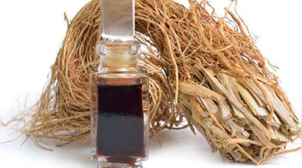Vetiver (Khus): The Old-School Cool