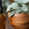 Eucalyptus: The Breath of Fresh Air