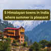 Article image for: How to beat heatwave: 5 Himalayan towns in India where summer is pleasant
