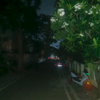 Article image for: Power cuts in Hubballi prompt families to check into hotels
