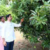 Article image for: Lokesh urges farmers to adopt zero-budget natural farming