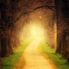Article image for: Thought of the day inspired by Bhagavad Gita (1)
