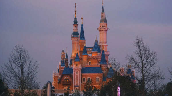 Walt Disney Photos