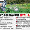 Article image for: Paraquat link emerges as T tops in insecticide suicides