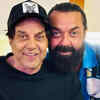 Article image for: Bobby reveals how Dharmendra reacted after Animal success