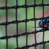 Install mesh screens
