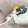 Ensure garbage cans remain empty always