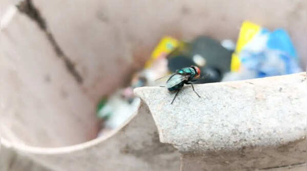 Ensure garbage cans remain empty always
