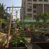 Lush terrace